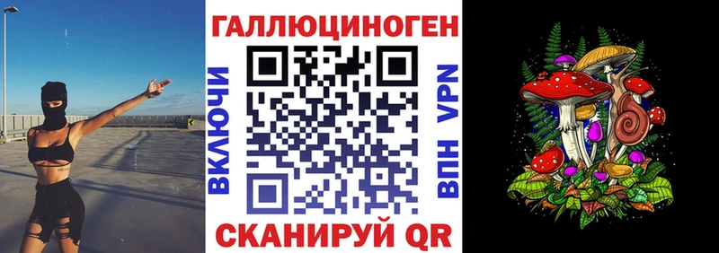 blacksprut зеркало  Мышкин  Псилоцибиновые грибы MAGIC MUSHROOMS 
